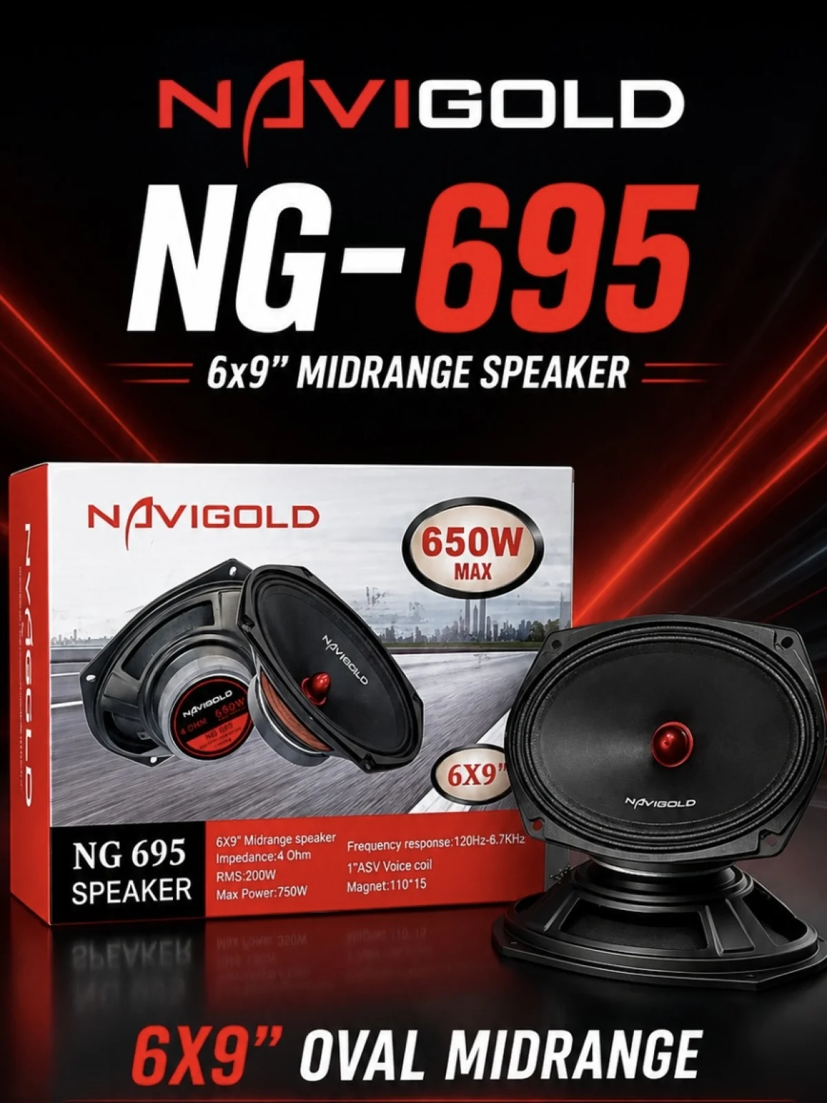 NG-695 6X9" MIDRANGE